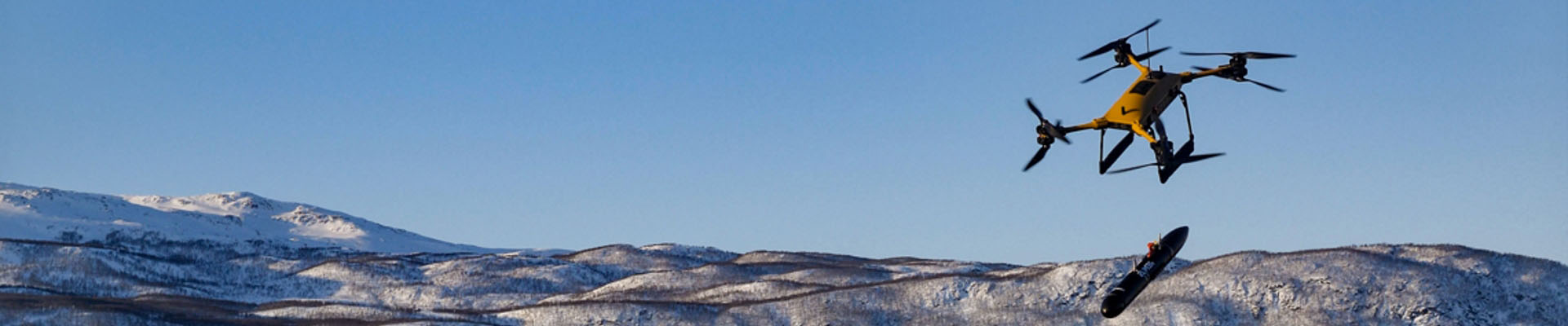 shareholder services