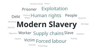 Modern Slavery External Briefing