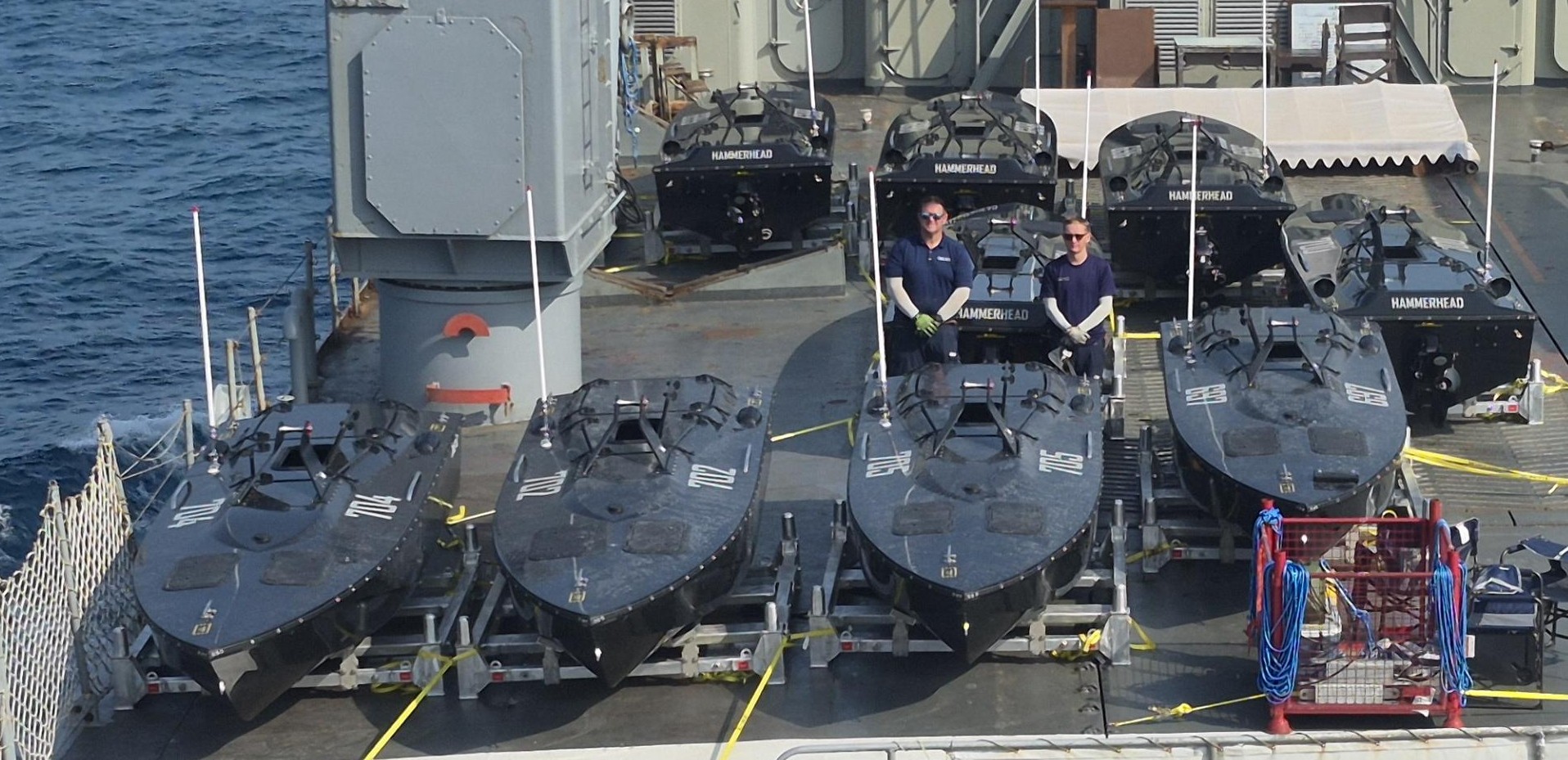 Hammerheads on a navy ship