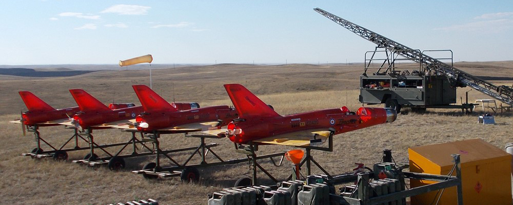 Building an international company