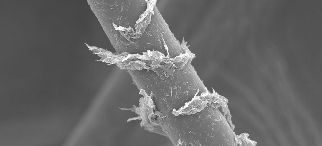 Research and Development