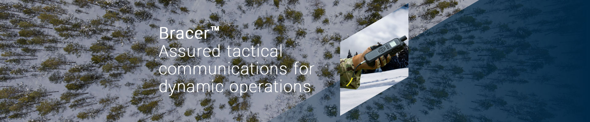 Satellite view of trees and snow