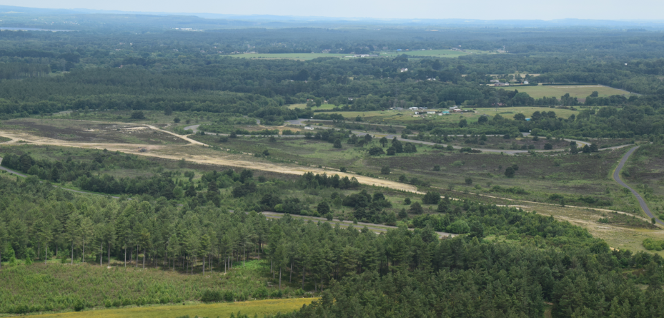 Landscape at Hurn Proving Ground
