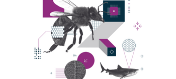 biomimicry card image