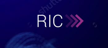 Rapid Innovation Capability